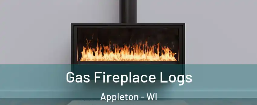  Gas Fireplace Logs Appleton - WI