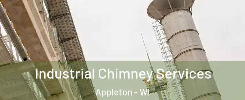  Industrial Chimney Services Appleton - WI
