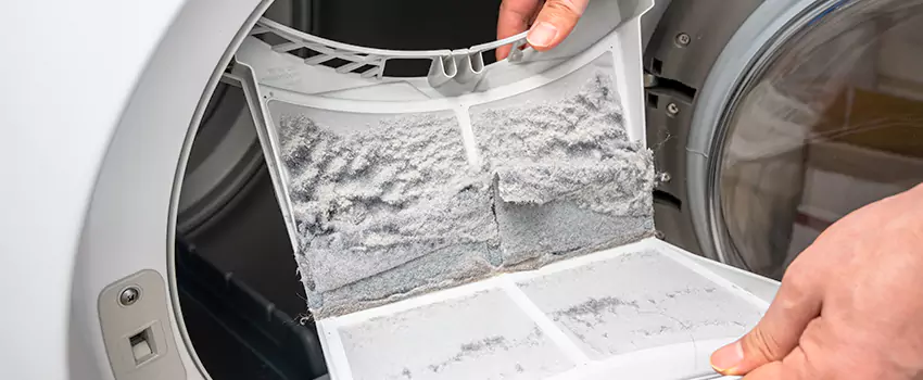 Best Dryer Lint Removal Company in Appleton, Wisconsin