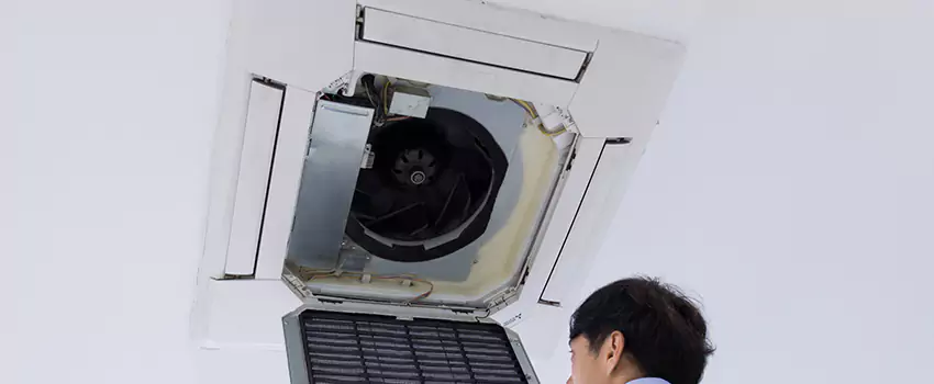 Benefits of Professional Air Duct Cleaning in Appleton, Wisconsin