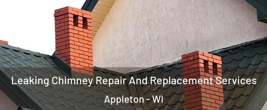  Leaking Chimney Repair And Replacement Services Appleton - WI