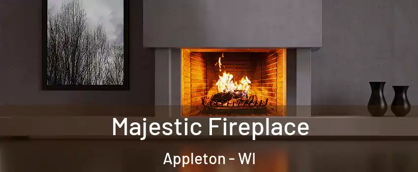  Majestic Fireplace Appleton - WI