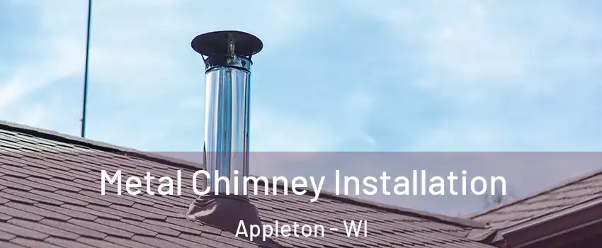  Metal Chimney Installation Appleton - WI