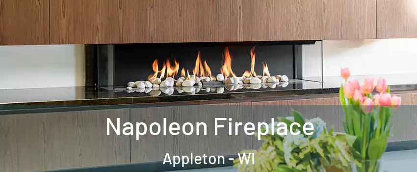  Napoleon Fireplace Appleton - WI