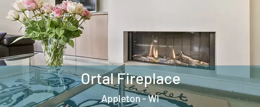  Ortal Fireplace Appleton - WI