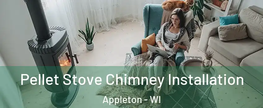  Pellet Stove Chimney Installation Appleton - WI