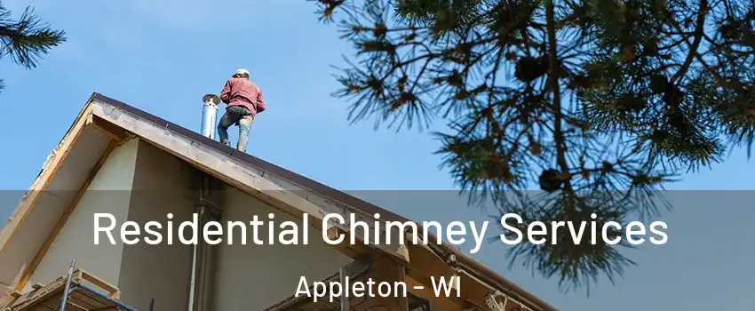  Residential Chimney Services Appleton - WI
