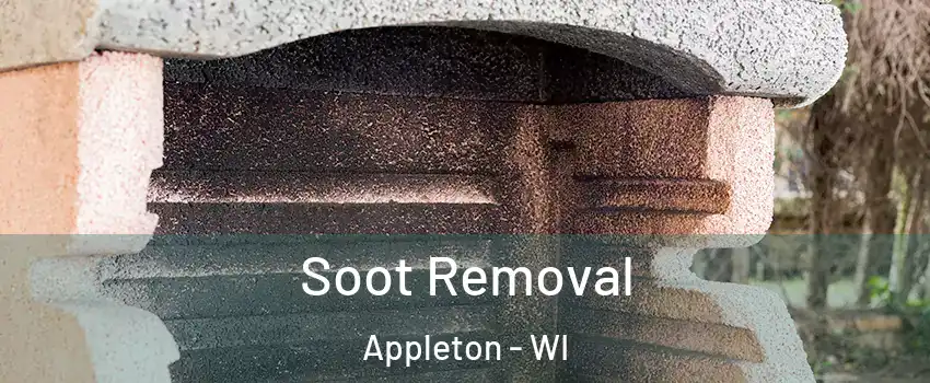  Soot Removal Appleton - WI