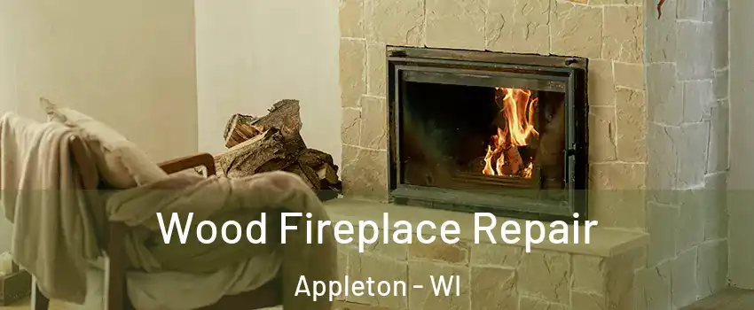  Wood Fireplace Repair Appleton - WI