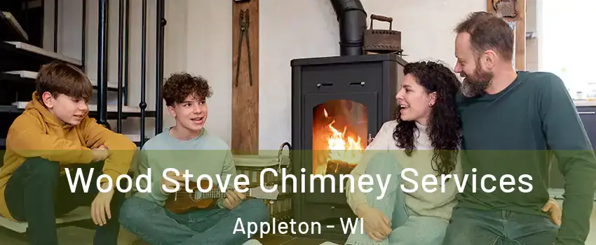 Wood Stove Chimney Services Appleton - WI