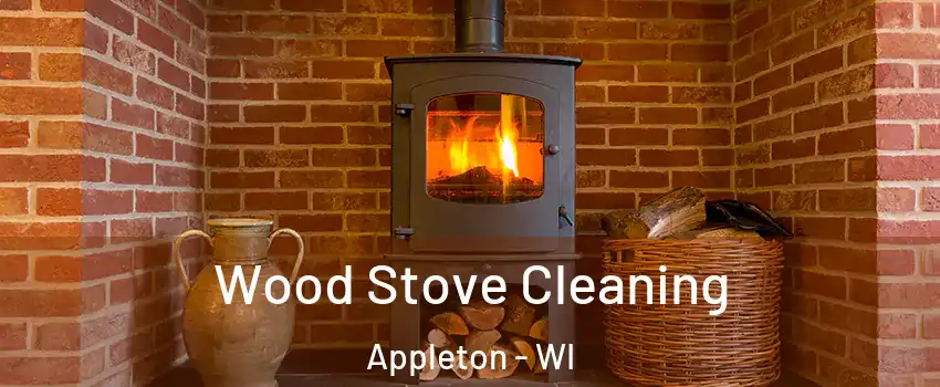  Wood Stove Cleaning Appleton - WI