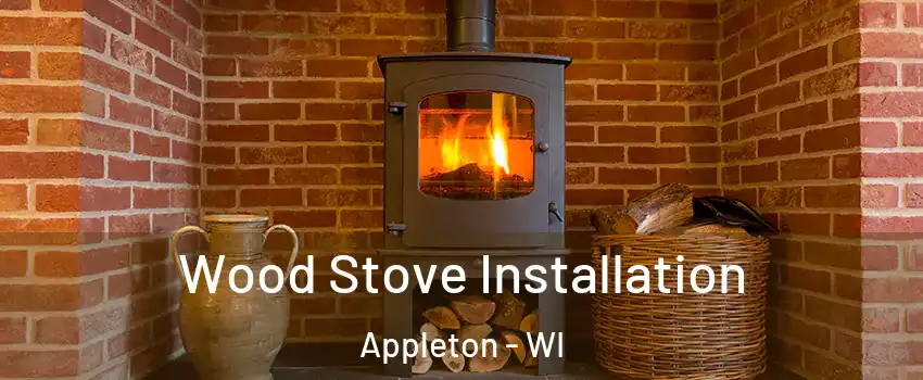  Wood Stove Installation Appleton - WI