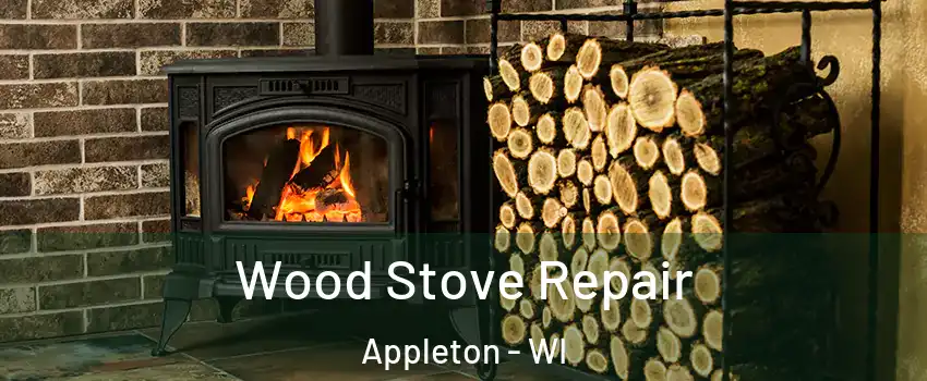 Wood Stove Repair Appleton - WI